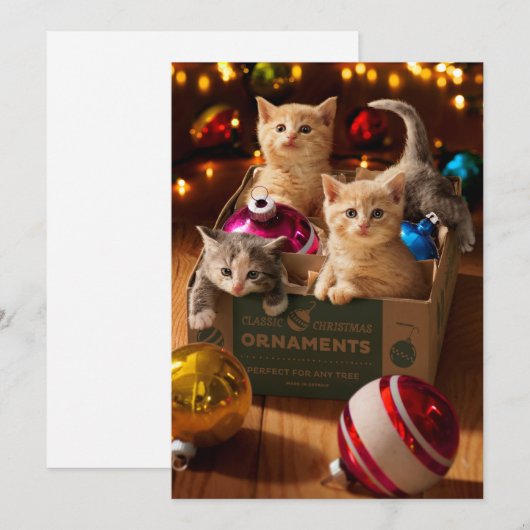 Invitation Chatons dans une boîte à ornements (Devant / Derrière)