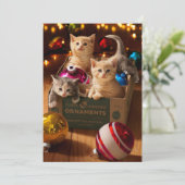 Invitation Chatons dans une boîte ornée (Debout devant)