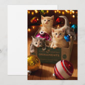 Invitation Chatons dans une boîte ornée (Devant / Derrière)