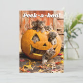 Invitation Chatons dans une citrouille (Debout devant)