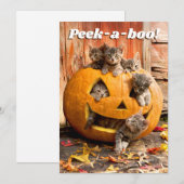 Invitation Chatons dans une lanterne en citrouille (Devant / Derrière)