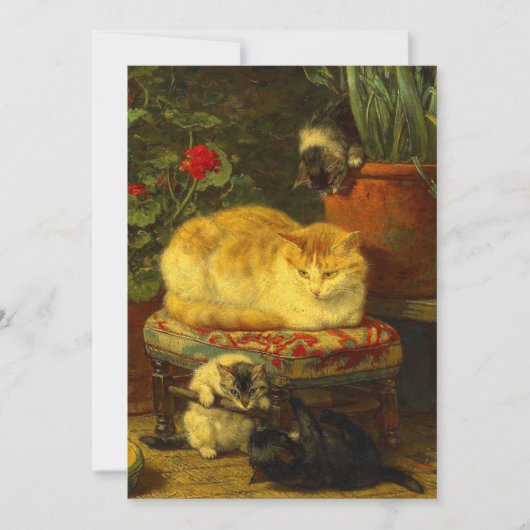 Invitation Chatons en train de jouer (Devant)
