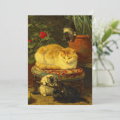 Invitation Chatons en train de jouer (Debout devant)