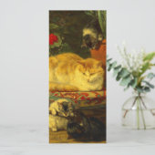 Invitation Chatons en train de jouer (Debout devant)