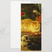 Invitation Chatons en train de jouer (Devant / Derrière)