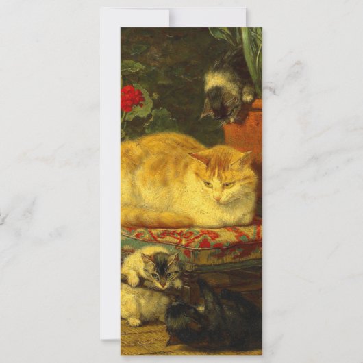 Invitation Chatons en train de jouer (Devant)