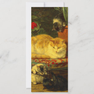 Invitation Chatons en train de jouer