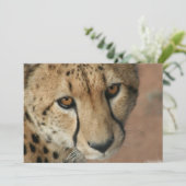 Invitation Cheetah Cat (Debout devant)