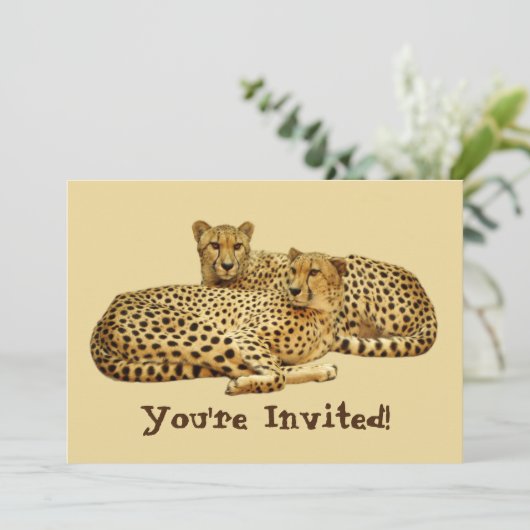 Invitation Cheetahs (Debout devant)