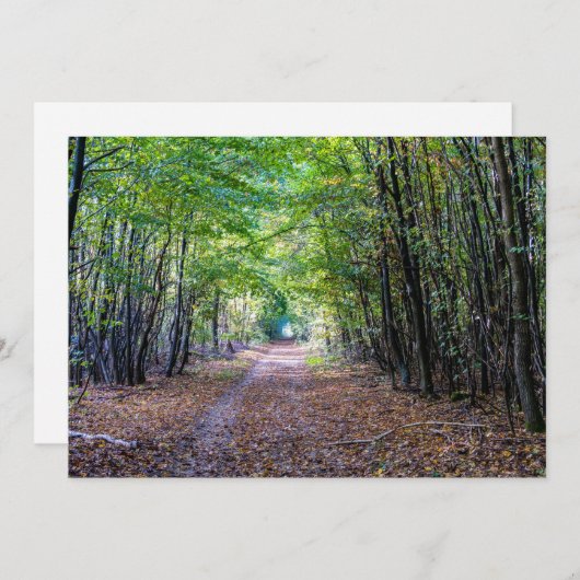 Invitation Chemin dans la forêt automnale, Forêt Saint Germai (Devant / Derrière)