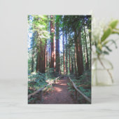 Invitation Chemin Redwood Nord-Californie (Debout devant)