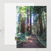 Invitation Chemin Redwood Nord-Californie (Devant / Derrière)