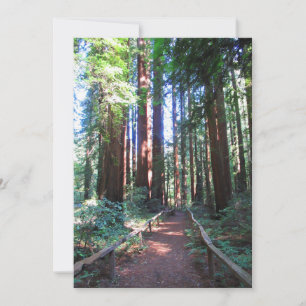 Invitation Chemin Redwood Nord-Californie
