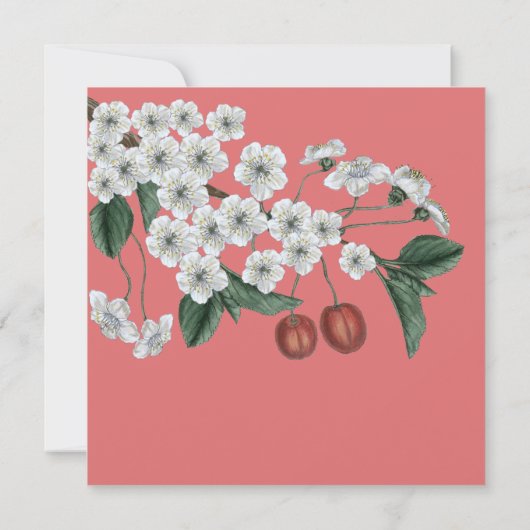 Invitation Cherry Blossoms Branch Enregistrer la date (Dos)