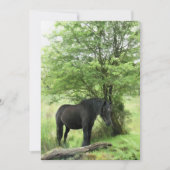 Invitation CHEVAL (Devant)