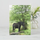 Invitation CHEVAL (Debout devant)