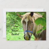 Invitation Cheval Brown Belge Brouillon Photo Anniversaire (Devant)