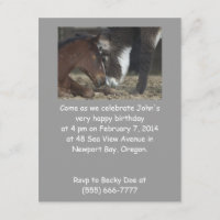 Cheval drôle d'invitation de fête d'anniversaire