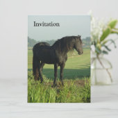 Invitation Cheval frison (Debout devant)