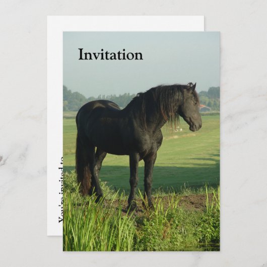 Invitation Cheval frison (Devant / Derrière)