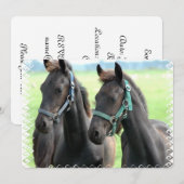 Invitation Cheval noir (Devant / Derrière)