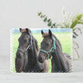 Invitation Cheval noir (Debout devant)