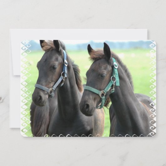 Invitation Cheval noir (Devant)