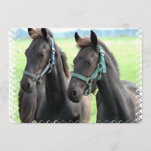 Invitation Cheval noir