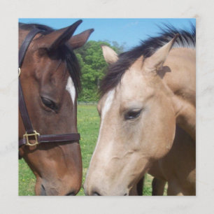 Invitation Cheval Romance