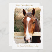 INVITATION CHEVAUX (Devant / Derrière)