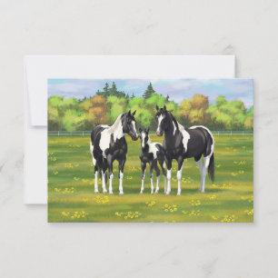 Invitation Chevaux De Peinture De Pinto Noir En Pâturage Été