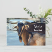 Invitation Chèvre Noir animal Brown photo Anniversaire (Debout devant)