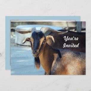 Invitation Chèvre Noir animal Brown photo Anniversaire