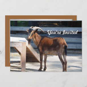 Invitation Chèvre Noir Cornes Brown Profil animal Anniversair