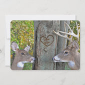 Invitation chevreuil et buck près d'un arbre avec un cœur scu (Devant)