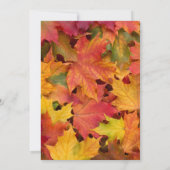 Invitation Chic Rustic Fall quitte Chalkboard Mariage (Dos)