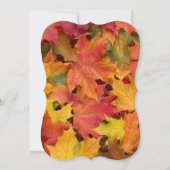 Invitation Chic Rustic Fall quitte Chalkboard Mariage Invitat (Dos)