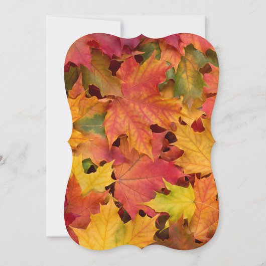 Invitation Chic Rustic Fall quitte Chalkboard Mariage Invitat (Dos)