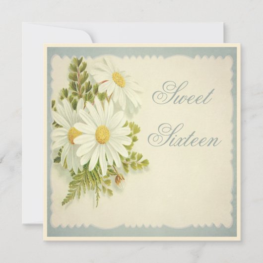 Invitation Chic Vintage Daisies Sweet 16 (Devant)