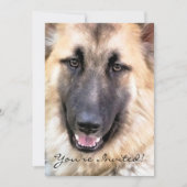 INVITATION CHIEN ALLEMAND SHEPHERD (Devant)