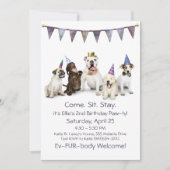 Invitation Chien Anniversaire Fête N'Importe Quel Chien (Devant)