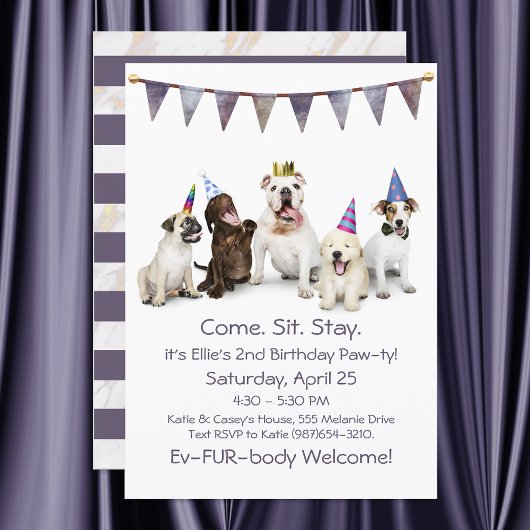 Invitation Chien Anniversaire Fête N'Importe Quel Chien
