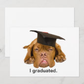 Invitation chien avec le casquette d'obtention du diplôme (Devant / Derrière)