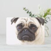 Invitation Chien Carlin (Debout devant)