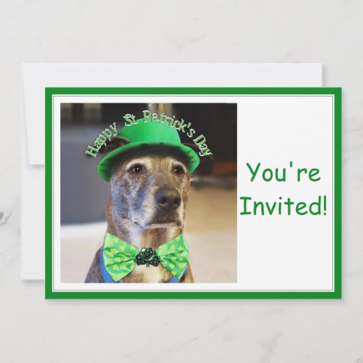 Invitation Chien chanceux de la Saint Patrick (Devant)