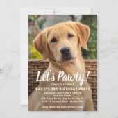 Invitation Chien Chien Chien Chien Anniversaire Fête Personna (Devant)