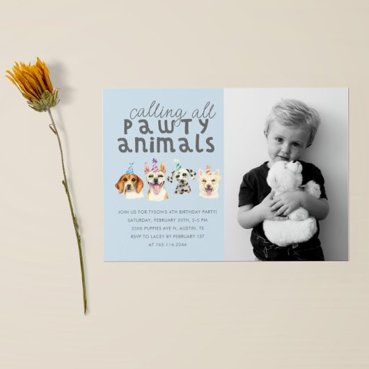 Invitation Chien Chien Chien Fête Animaux Anniversaire Photo