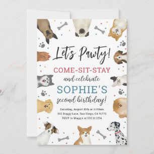 Invitation Chien Chiot Animaux de compagnie Pawty Anniversair
