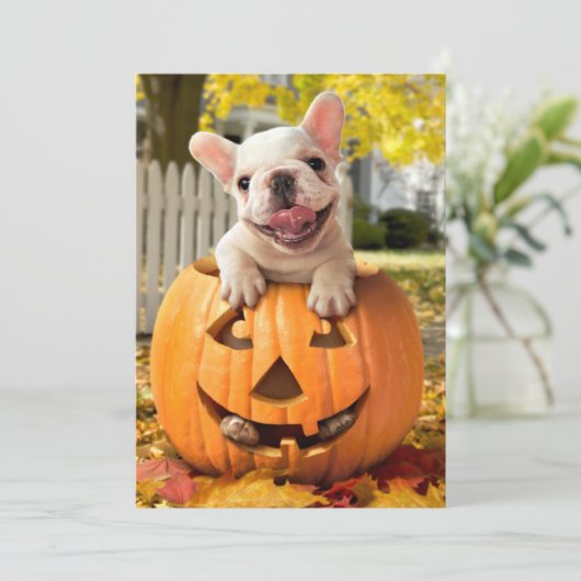 Invitation Chien dans la citrouille (Debout devant)