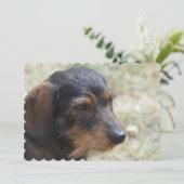 Invitation Chien de Daschund (Debout devant)